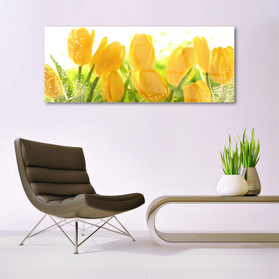 Quadro de vidro Tulipas Flores Planta