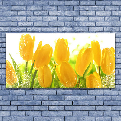 Quadro de vidro Tulipas Flores Planta
