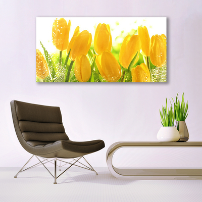 Quadro de vidro Tulipas Flores Planta