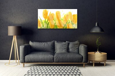 Quadro de vidro Tulipas Flores Planta