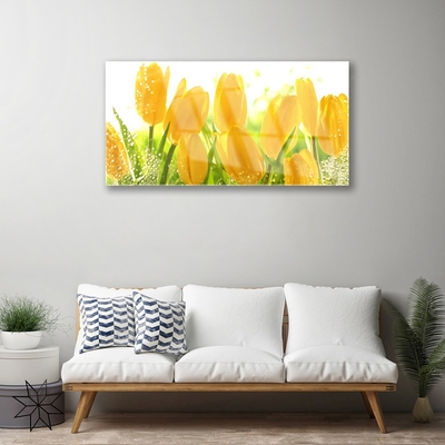 Quadro de vidro Tulipas Flores Planta