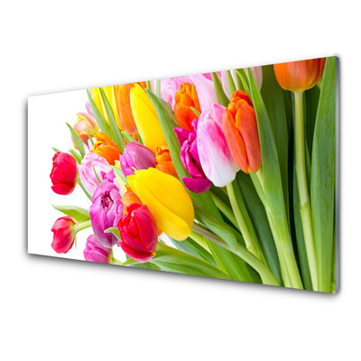 Quadro de vidro Tulipas Flores Planta