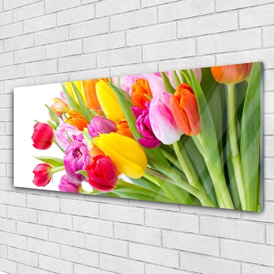 Quadro de vidro Tulipas Flores Planta