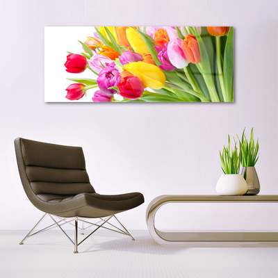 Quadro de vidro Tulipas Flores Planta