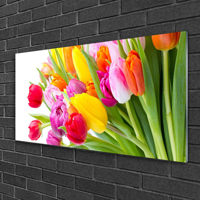 Quadro de vidro Tulipas Flores Planta