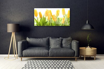Quadro de vidro Tulipas Flores Planta