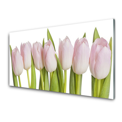 Quadro de vidro Tulipas Flores Planta