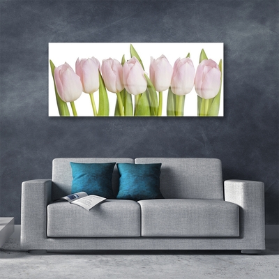 Quadro de vidro Tulipas Flores Planta