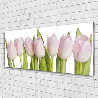 Quadro de vidro Tulipas Flores Planta
