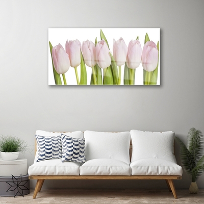 Quadro de vidro Tulipas Flores Planta