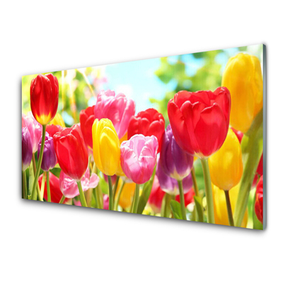 Pintura em vidro Tulipas Flores Planta