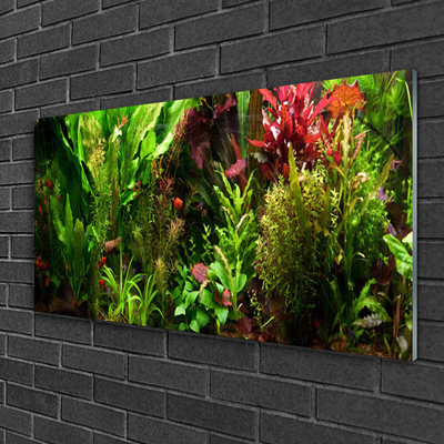 Pintura em vidro Plantas Flores Natureza