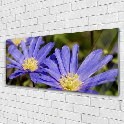 Quadro de vidro Flores Planta Natureza