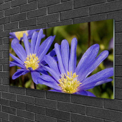 Quadro de vidro Flores Planta Natureza