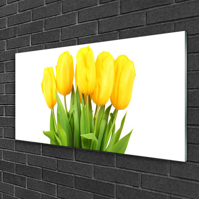 Pintura em vidro Tulipas Flores Planta