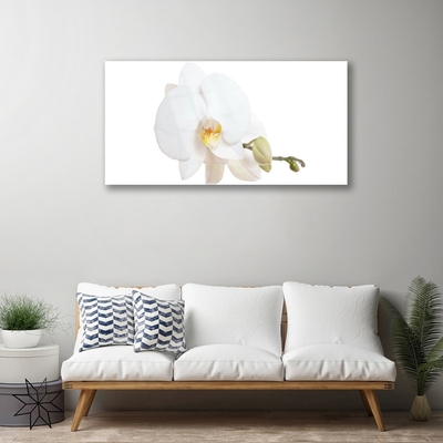 Pintura em vidro Flor Planta Natureza