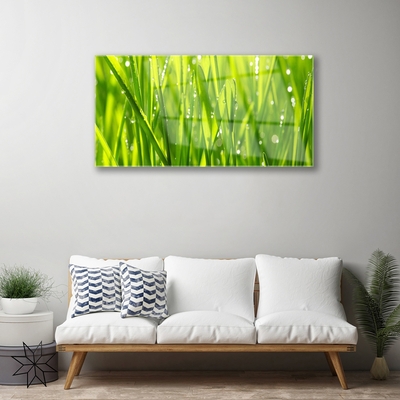 Quadro de vidro Natureza da planta grama