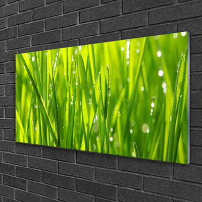 Quadro de vidro Natureza da planta grama
