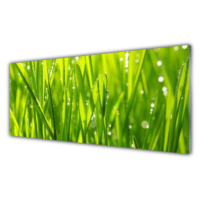 Quadro de vidro Natureza da planta grama