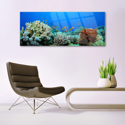 Quadro de vidro Natureza dos recifes de corais