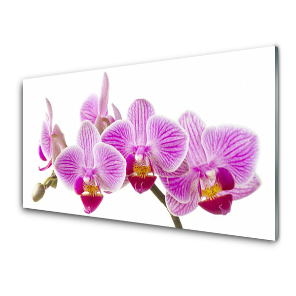 Quadro de vidro Flores Planta Natureza