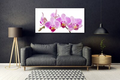 Quadro de vidro Flores Planta Natureza
