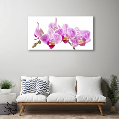 Quadro de vidro Flores Planta Natureza