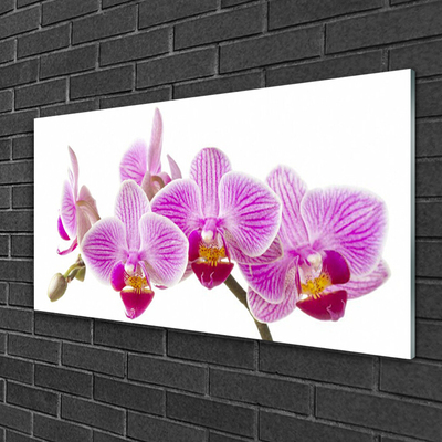 Quadro de vidro Flores Planta Natureza