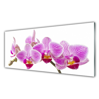 Quadro de vidro Flores Planta Natureza