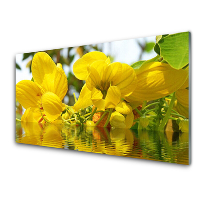 Quadro de vidro Flores Planta Natureza