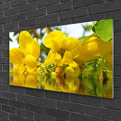 Quadro de vidro Flores Planta Natureza