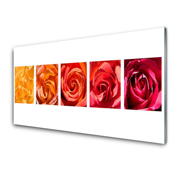 Quadro de vidro Planta de flores rosas