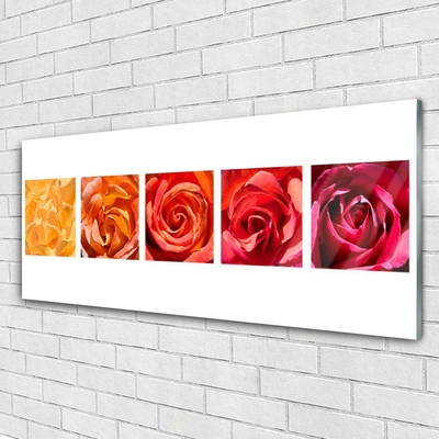 Quadro de vidro Planta de flores rosas