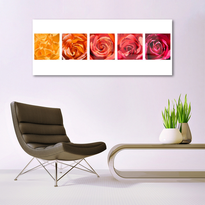 Quadro de vidro Planta de flores rosas
