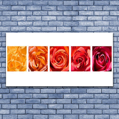 Quadro de vidro Planta de flores rosas