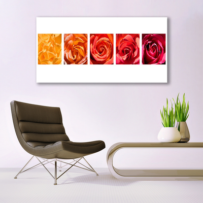 Quadro de vidro Planta de flores rosas