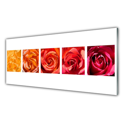 Quadro de vidro Planta de flores rosas