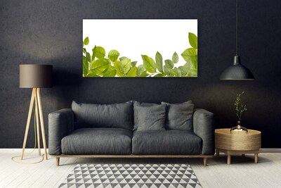 Pintura em vidro Folhas Natureza Planta