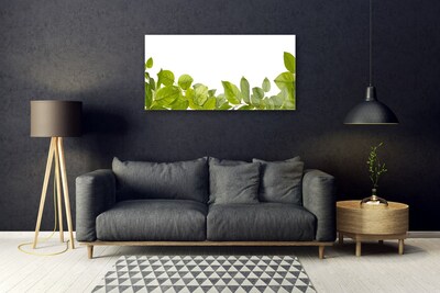 Pintura em vidro Folhas Natureza Planta