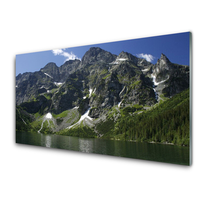 Quadro de vidro Montanhas Lago Floresta Paisagem