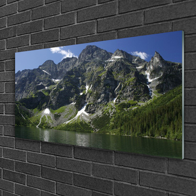 Quadro de vidro Montanhas Lago Floresta Paisagem