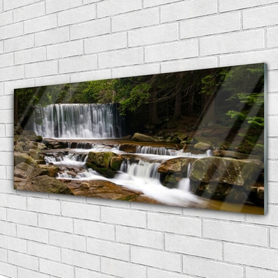 Quadro de vidro Cachoeira Floresta Natureza