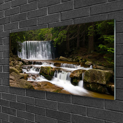 Quadro de vidro Cachoeira Floresta Natureza