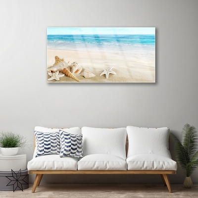 Quadro de vidro Conchas de estrelas do mar