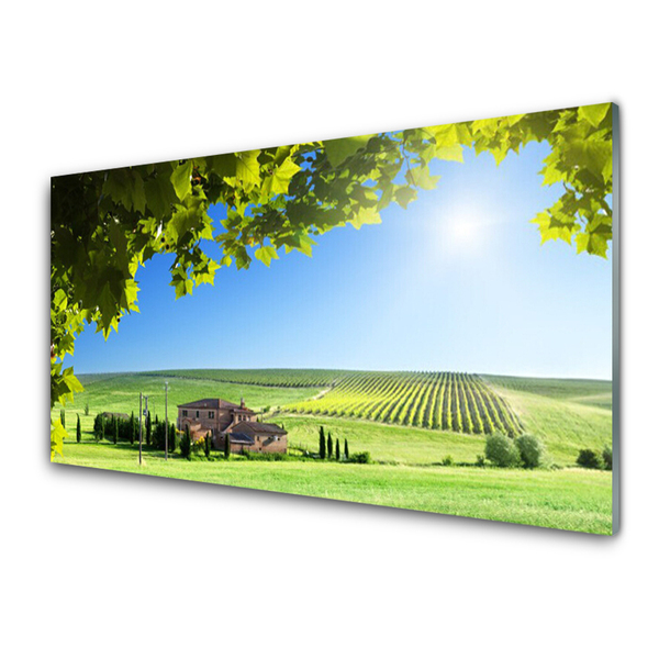 Quadro de vidro Paisagem de folhas de campo