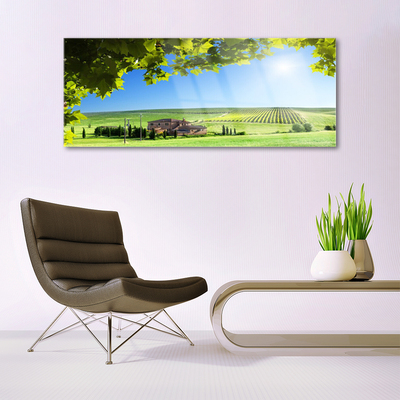 Quadro de vidro Paisagem de folhas de campo