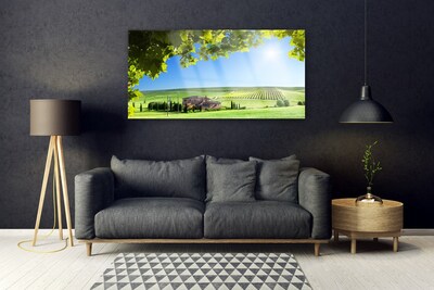Quadro de vidro Paisagem de folhas de campo