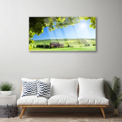 Quadro de vidro Paisagem de folhas de campo