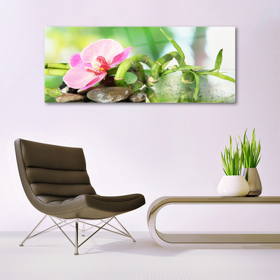 Quadro de vidro Caule de bambu planta natureza