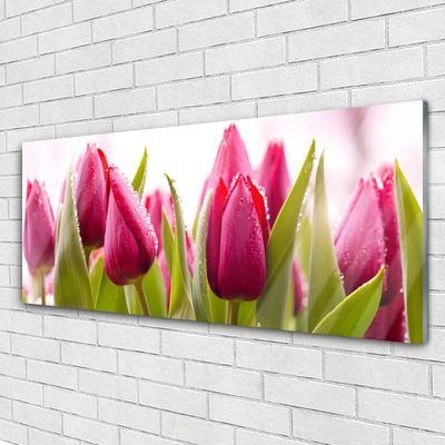 Pintura em vidro Tulipas Flores Planta